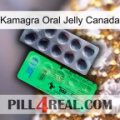 Kamagra Oral Jelly Canada new04
